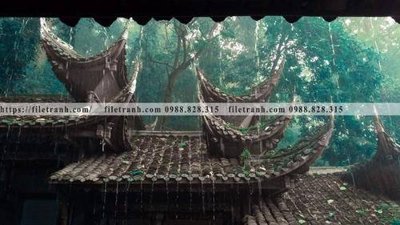 Tải file gốc mai hien cua toa nha co 243 (bản PSD) gốc