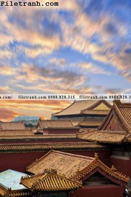 Tải file mai hien cua toa nha co 245 (gốc) để in ấn ngay