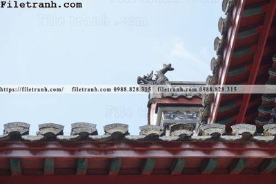 Ảnh gốc mai hien cua toa nha co 248 (nét căng) in mica