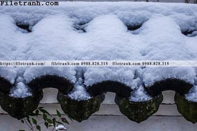 Tải file mai hien cua toa nha co 264 (gốc) làm file in ấn