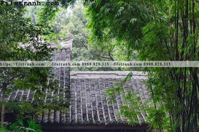 File gốc mai hien cua toa nha co 271 (in tráng gương) ốp tường