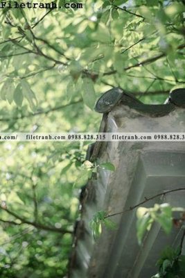 File in lụa mai hien cua toa nha co 283 (phong cảnh) mai hien cua toa nha co 283