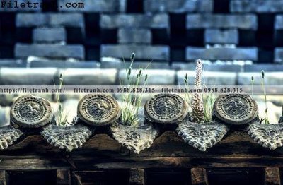 File tranh PSD mai hien cua toa nha co 289 chất lượng cao