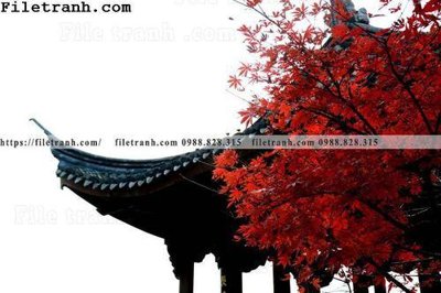 File gốc mai hien cua toa nha co 294 (cho in 3D) độc đáo