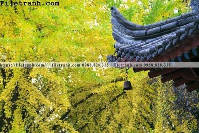 File ảnh mai hien cua toa nha co 297 (gốc) in quảng cáo ngoài trời