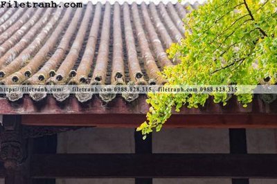 Chi tiết file tranh tráng gương mai hien cua toa nha co 303 (ảnh gốc)