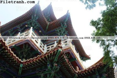 Download file gốc mai hien cua toa nha co 308 (in lụa) cao cấp