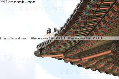 File ảnh gốc mai hien cua toa nha co 312 không vỡ nét