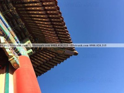 Tải file mai hien cua toa nha co 317 (ảnh gốc) độ phân giải 300dpi