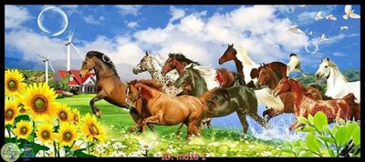 Tải file gốc File mã đáo thành công MD18 (bản PSD) gốc