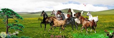 File tranh File mã đáo thành công MD21 (ảnh gốc) in trần xuyên sáng