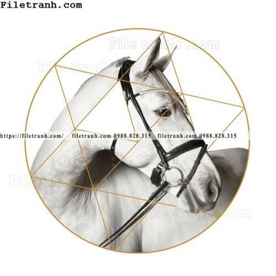 File gốc in ấn ngua trang tron don gian hien dai 101 (sẵn sàng tải về)