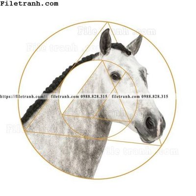 Tải file gốc ngua trang tron don gian hien dai 102 dùng cho in ấn