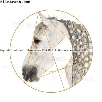 File tranh gốc ngua trang tron don gian hien dai 103 (bản quyền) độc đáo