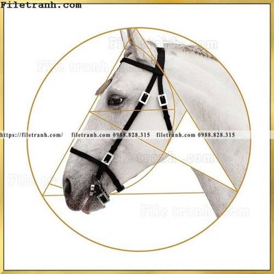 Download file gốc ngua trang tron don gian hien dai 104 (dùng cho in ấn)