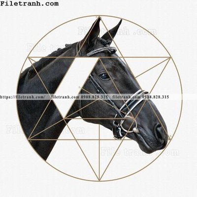 File in mica ngua trang tron don gian hien dai 109 (bản gốc) làm vách ngăn