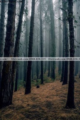 File gốc nhung buc tranh phong canh doc 501 (ảnh rõ nét) để in