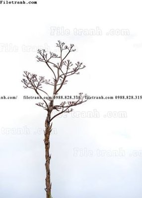 File gốc nhung buc tranh phong canh doc 548 (cho in ấn) từ Filetranh.com