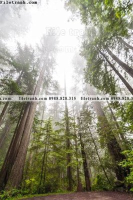 File tranh nhung buc tranh phong canh doc 560 (gốc) chủ đề động vật