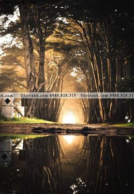 Ảnh gốc nhung buc tranh phong canh doc 575 (độ nét cao) in tráng gương