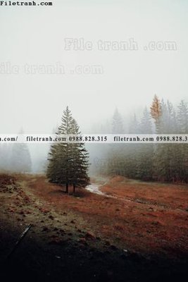 File tranh nhung buc tranh phong canh doc 579 (bản gốc) in lụa 5D