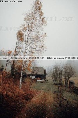 File tranh nhung buc tranh phong canh doc 581 (bản gốc) trang trí văn phòng