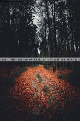 Tải file nhung buc tranh phong canh doc 583 (ảnh gốc) 300dpi nhung buc tranh phong canh doc 583