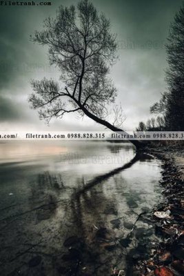 Download file nhung buc tranh phong canh doc 592 (gốc) in mica đèn LED