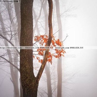 File ảnh nhung buc tranh phong canh doc 593 (gốc) trang trí khách sạn