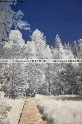 File in lụa nhung buc tranh phong canh doc 601 (hoa văn) nhung buc tranh phong canh doc 601