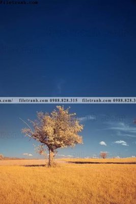 File PSD nhung buc tranh phong canh doc 603 (bản gốc) đã tách nền