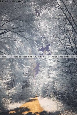 Download file nhung buc tranh phong canh doc 605 (gốc) in mica đèn LED