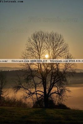 File gốc nhung buc tranh phong canh doc 609 (in mica) làm quà tặng