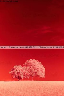 Download file gốc nhung buc tranh phong canh doc 610 (in lụa) tranh 3D