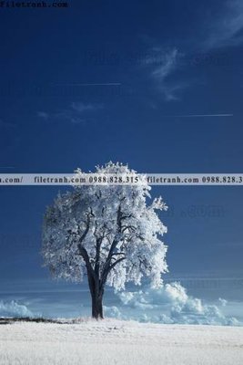 Tải file PSD nhung buc tranh phong canh doc 611 (nguyên layer) để in