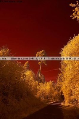 File gốc nhung buc tranh phong canh doc 615 (in lụa) tranh thuận buồm