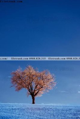 File PSD nhung buc tranh phong canh doc 619 (bản gốc) đã tách nền