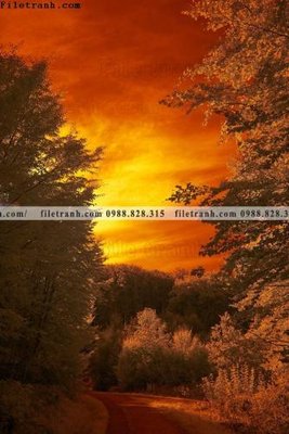 Tải file nhung buc tranh phong canh doc 632 (ảnh gốc) file AI/EPS