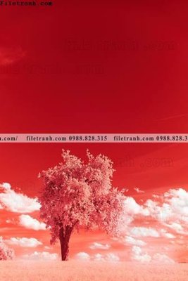 Tải file nhung buc tranh phong canh doc 633 (gốc) làm tranh treo tường