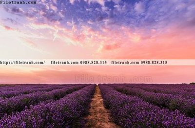 File tranh nhung buc tranh phong canh ngang 506 (gốc) chủ đề trừu tượng