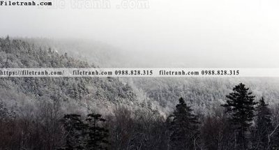 File tranh nhung buc tranh phong canh ngang 548 (gốc) in vải canvas