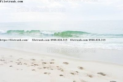 File in lụa nhung buc tranh phong canh ngang 558 (hoa văn) nhung buc tranh phong canh ngang 558