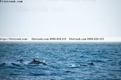 File in trần nhung buc tranh phong canh ngang 609 (bản gốc) trời sao