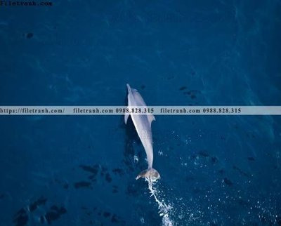 Tải file gốc nhung buc tranh phong canh ngang 618 (in tráng gương) 3DFile gốc nhung buc tranh phong canh ngang 618 (sẵn sàng in) chất lượng cao