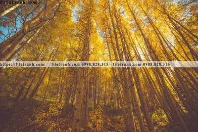 File tranh nhung buc tranh phong canh ngang 626 (gốc) phong cách tối giản