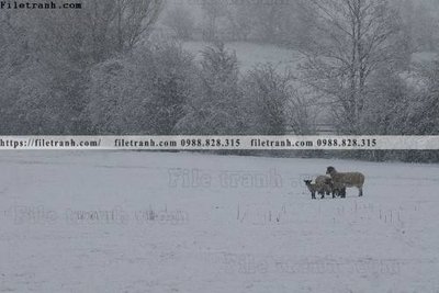 File gốc nhung buc tranh phong canh ngang 633 cho in ấn và thiết kế