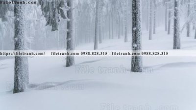 Tải file gốc nhung buc tranh phong canh ngang 642 (để in lụa)