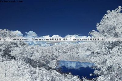 File in trần nhung buc tranh phong canh ngang 665 (file gốc) hoa văn 3D