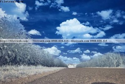 Tải file PSD nhung buc tranh phong canh ngang 666 (nguyên layer) để in