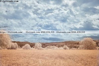 Tải file nhung buc tranh phong canh ngang 706 (gốc) làm file quảng cáo